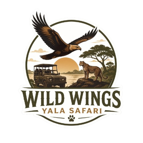 Loading Wild Wings Safari...