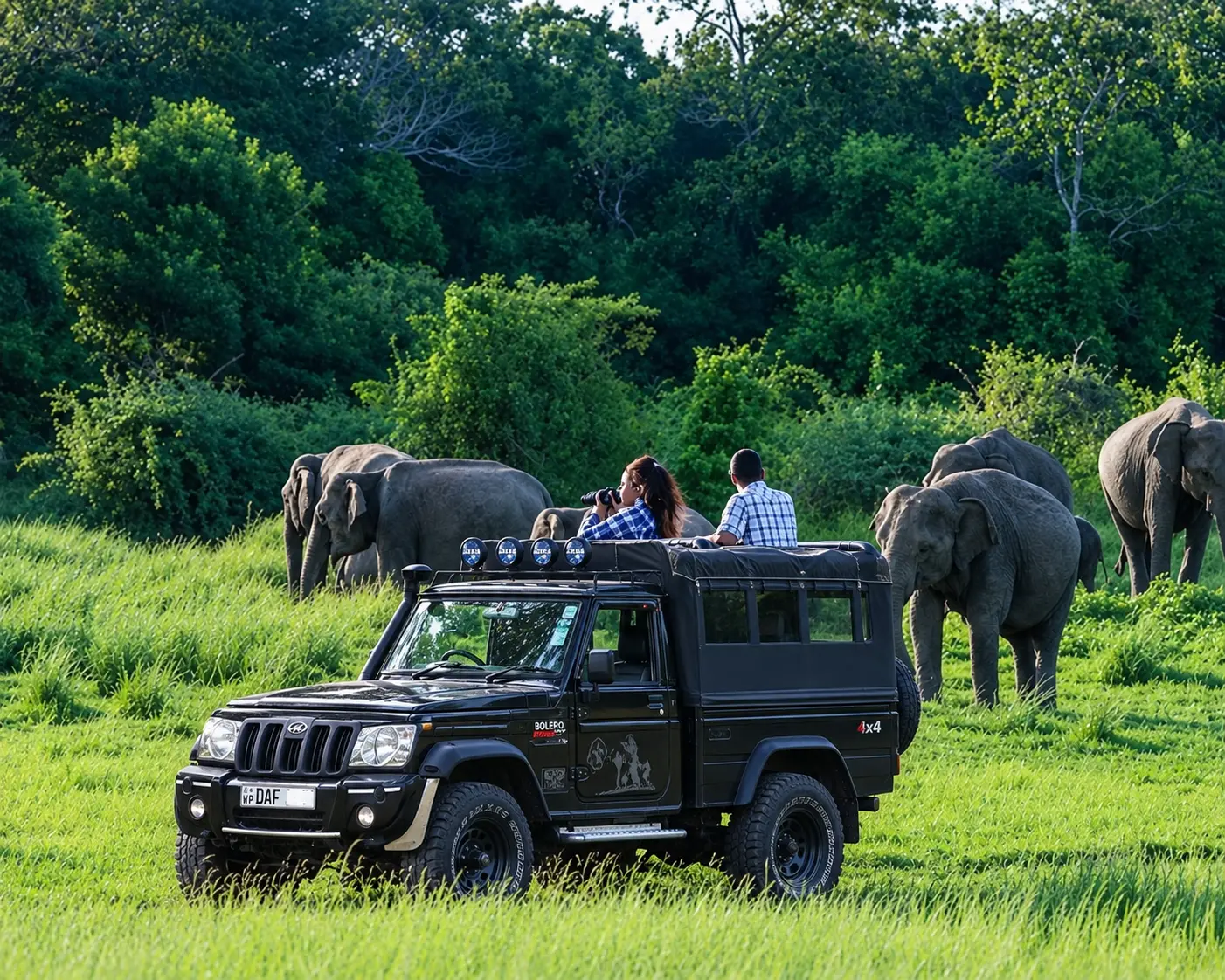 Luxury 4x4 Safari Jeep
