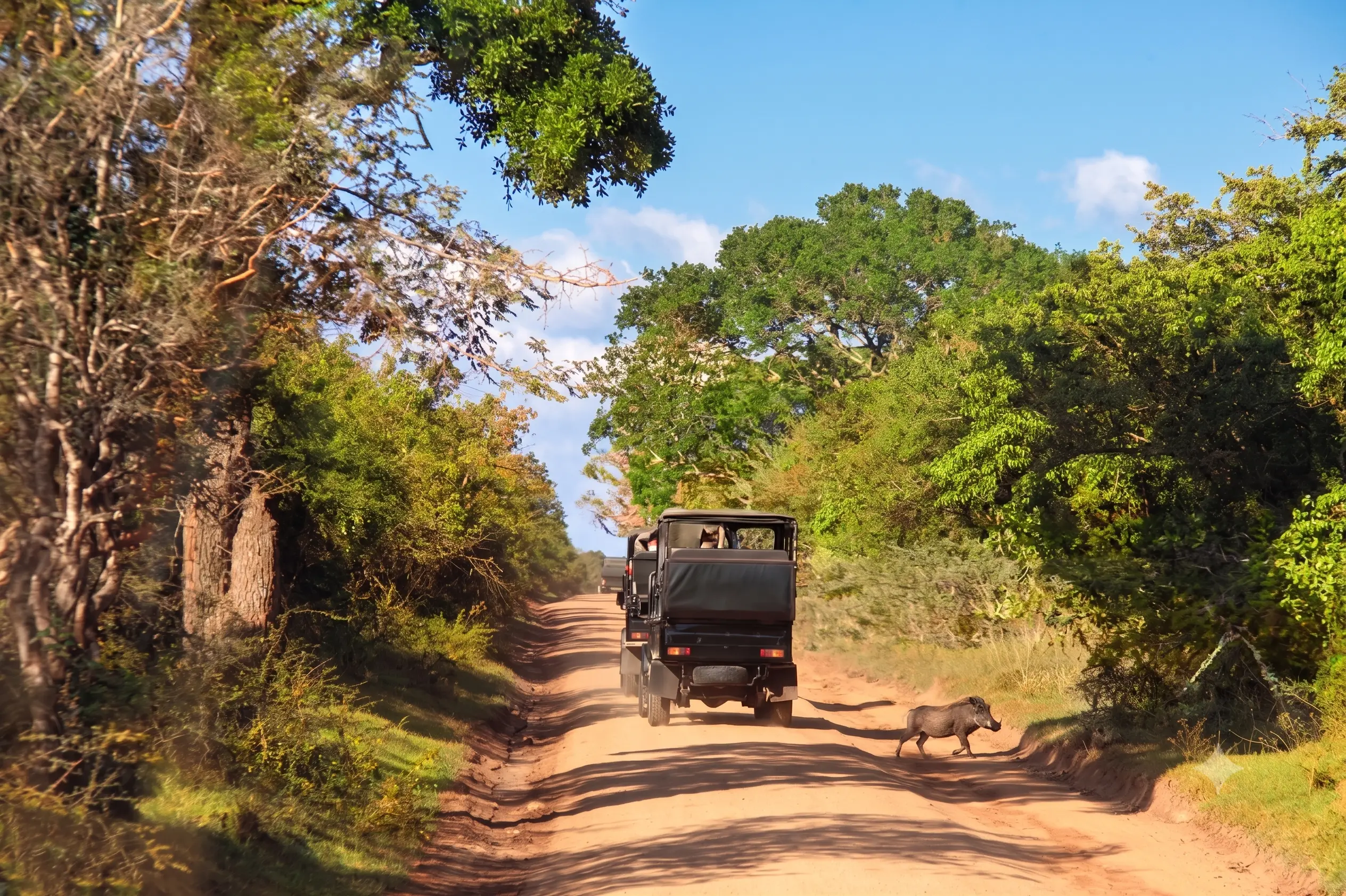 Weheragala Luxury Safari